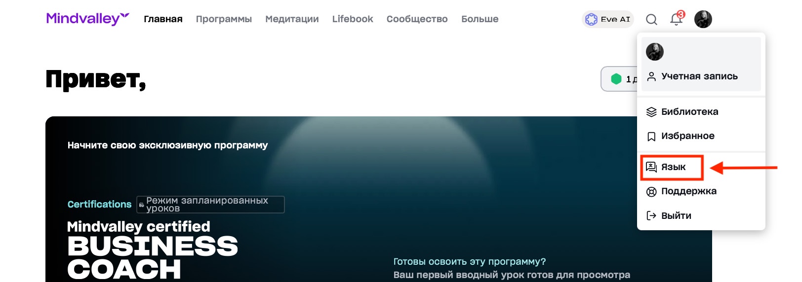 MV settings_language.jpg